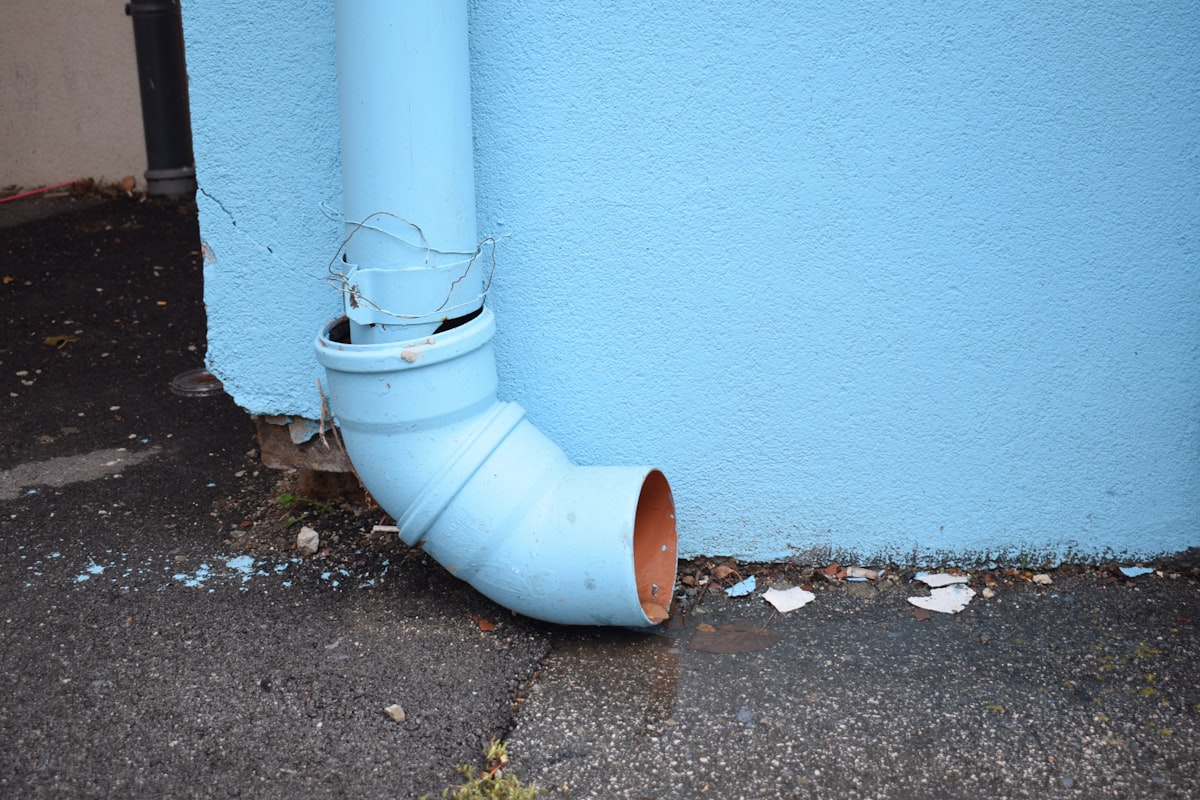 Mold Remediation service in Indio, CA