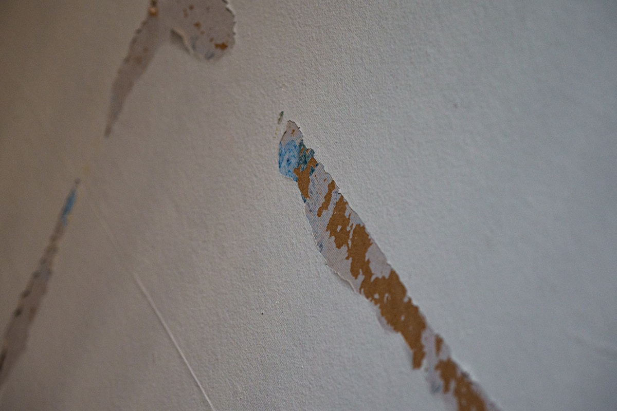 Basement Water Removal service in Indio, CA